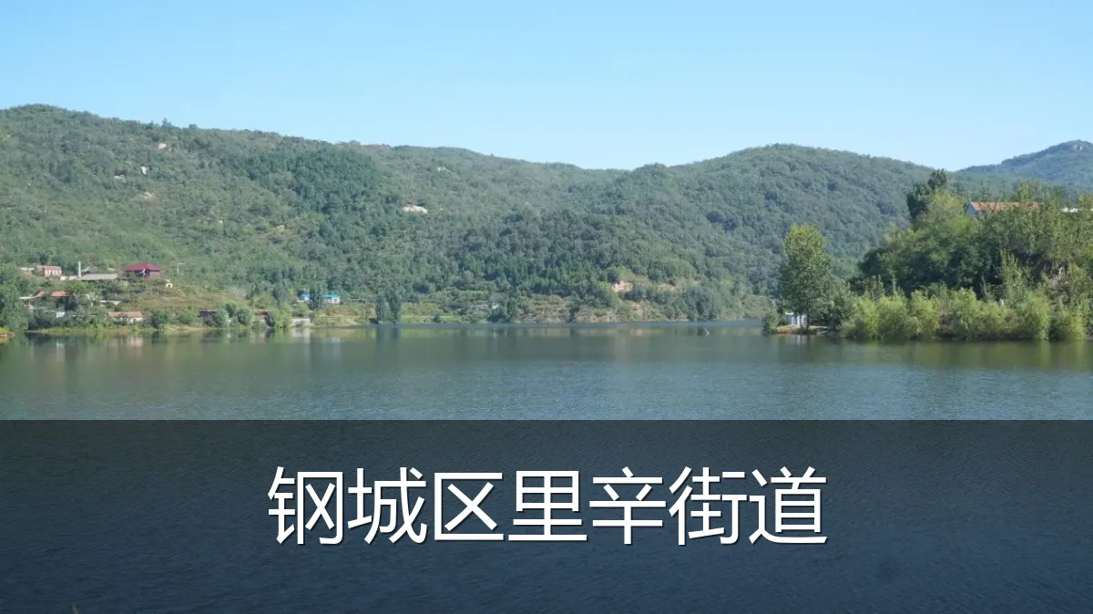 钢城区里辛街道