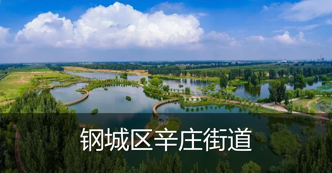 钢城区辛庄街道