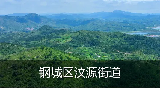 钢城区汶源街道